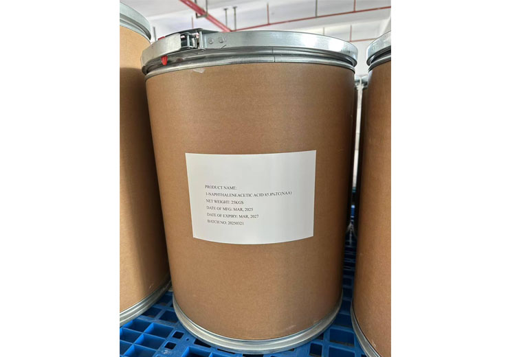 1-Naphthaleneacetic acid