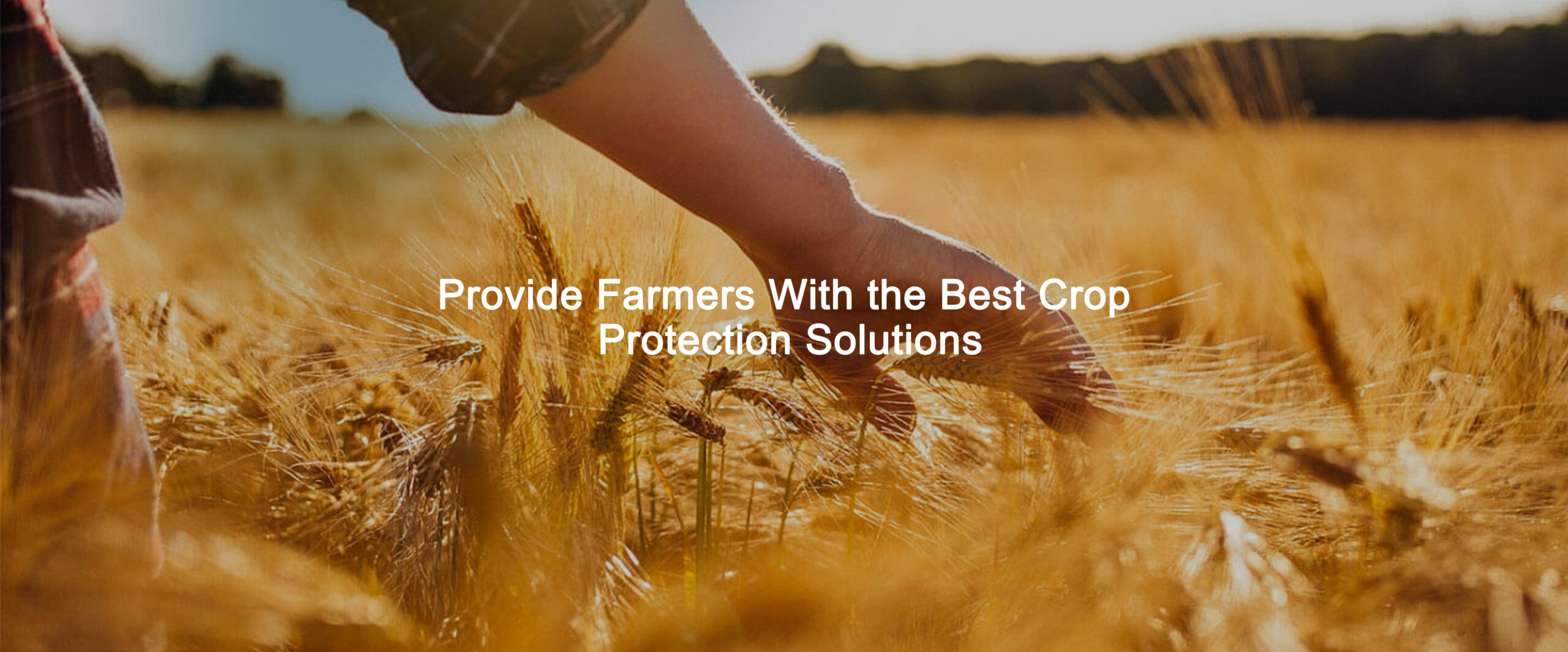 plant growth regulator suppliers