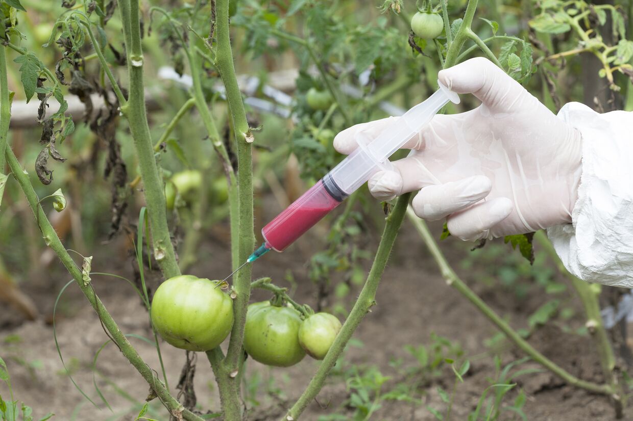 Ethephon In Plant Growth Regulation